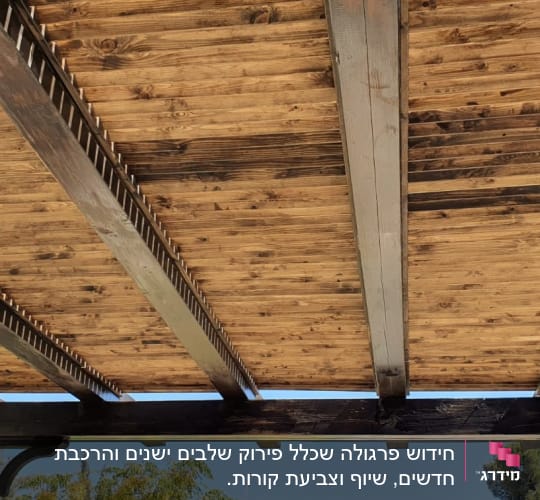 פרגולה מעץ עם קורות עץ ותאורה תלויה